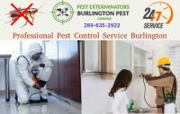 Pest Control Burlington image 9